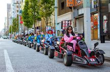 Akihabara / Asakusa 60min Go Karting Tour - *IDP required!* 