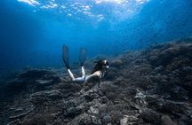 Beginner Freediving Course (with Bonus Session)