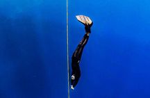 Beginner Freediving Course (with Bonus Session)