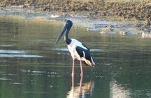 Bundala National Park Safari (PRIVATE TOURS)- Morning & Afternoon