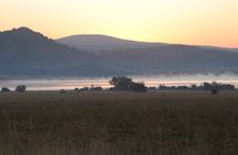 Pilanesberg National Park - Day Tours & Multiple Days