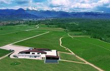  Wine Experience of Nebbiolo in Alto Piemonte 