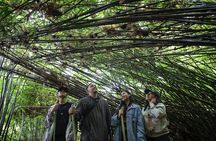 LEYTE-Mahagnao Lake Tanguile Trail and Forest Bathing