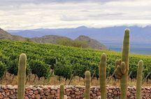 Excursion to Cafayate & Wine Country from Salta