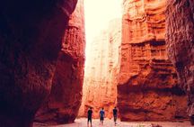 Excursion to Cafayate & Wine Country from Salta
