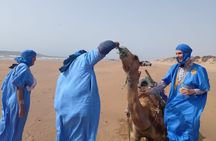 1 Hour Quad and 1 Hour Dromadery Riding in Essaouira