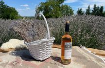 Visit Chateau Purcari Winery and Marta & Maria Monastery