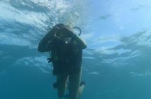 2-Hour Scuba Diving Experience for Beginners in Central Florida