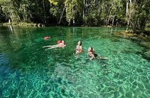 Three Sisters Springs Kayak and Swim Tour with Free Photo Package