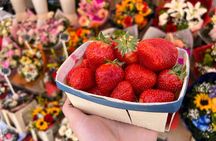 Secret Food Tours Nice Market and Old Town Food Tour
