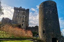Luxury Private Day Tour to Blarney Castle