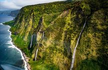Hamakua Coast & Valleys Safari