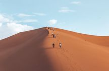 Agadir & Taghazout: Quad Bike Sandboarding & Visit of The Canyon 