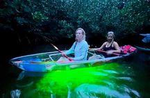 Guided Night Kayak Adventure Tour in Luminous Lagoon