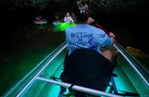 Guided Night Kayak Adventure Tour in Luminous Lagoon