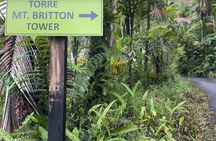 El Yunque Rainforest Hike with Transport from San Juan