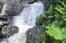 El Yunque Rainforest Hike with Transport from San Juan