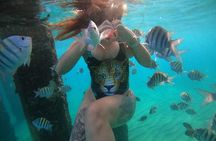 VIP San Juan: Snorkeling Tour with Turtles with Free Videos