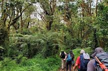 Day trip to mount Kilimanjaro 
