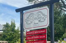 Full Day Wine Tasting Tour in McLaren Vale
