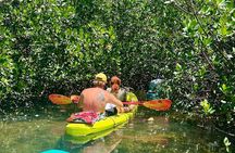  Key West Kayak Eco Tour | An Eco-Friendly Adventure Awaits!