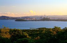 Day sea kayak tour Rangitoto Island