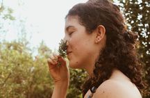 CDMX: TEMAZCAL Healing & cleansing ceremony ritual Zapoteca