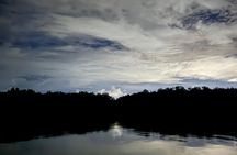 Bako National Park by Night from Kuching 