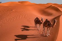 2 Days and 1 Night Private Wahiba Sands Desert Tour