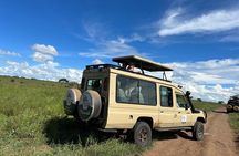 Tarangire Serengeti and Ngorongoro 4-Day Tanzania Tour 