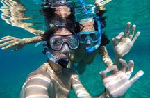 Shared Snorkeling Experience in Kwale Island