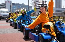 Osaka Castle 90min Go Karting Tour