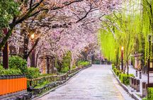 Kyoto Geisha District Walking Tour in Gion