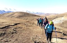 5-Day Trekking Tour through Chimgan, Uzbekistan