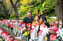 Private Tokyo Tour with a Local, Custom Highlights & Hidden Gems