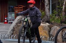 Forest Lagoon Ebike Tour Akureyri