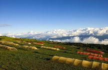 Half-Day Irazú Volcano National Park Experience from San José