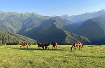 From Tbilisi: Svaneti 4 Days Private tour (Mestia, Ushguli)