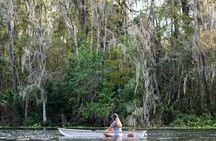 Glass Bottom Kayak Tours of Silver Springs