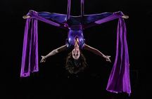 Hamners' Unbelievable Variety Show in Branson