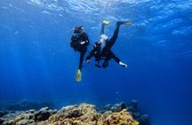 Scuba Experience in Tenerife with Guide 