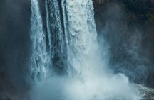 Visit Snoqualmie waterfall and an old Forest (Transport Included)