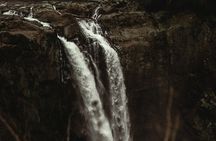Visit Snoqualmie waterfall and an old Forest (Transport Included)