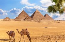 Cairo Private Layover Tour