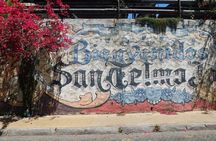 Walking Tour San Telmo Neighborhood Small Group 
