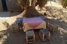 Authentic Desert Oasis Camp In Merzouga Dunes For Overnight 