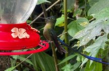 Mindo Cloud Forest Day Trip from Quito – Birdwatching & Adventure