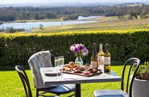 Sparkling Brunch in the Vines