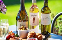 Sparkling Brunch in the Vines