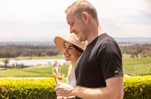 Sparkling Brunch in the Vines